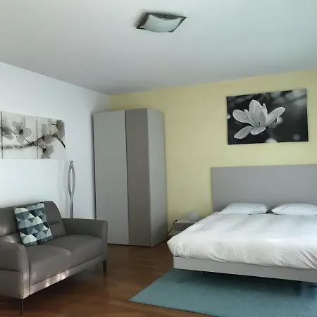 Casa Conti Al Lago * Ronco sopra Ascona