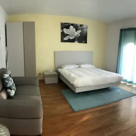 Casa Conti Al Lago Apartment Ronco sopra Ascona