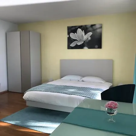 Casa Conti Al Lago Ronco sopra Ascona