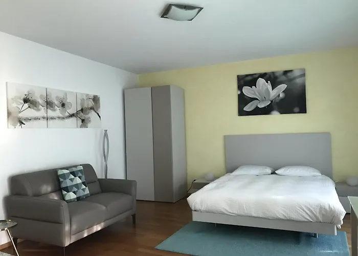 Casa Conti Al Lago * Ronco sopra Ascona